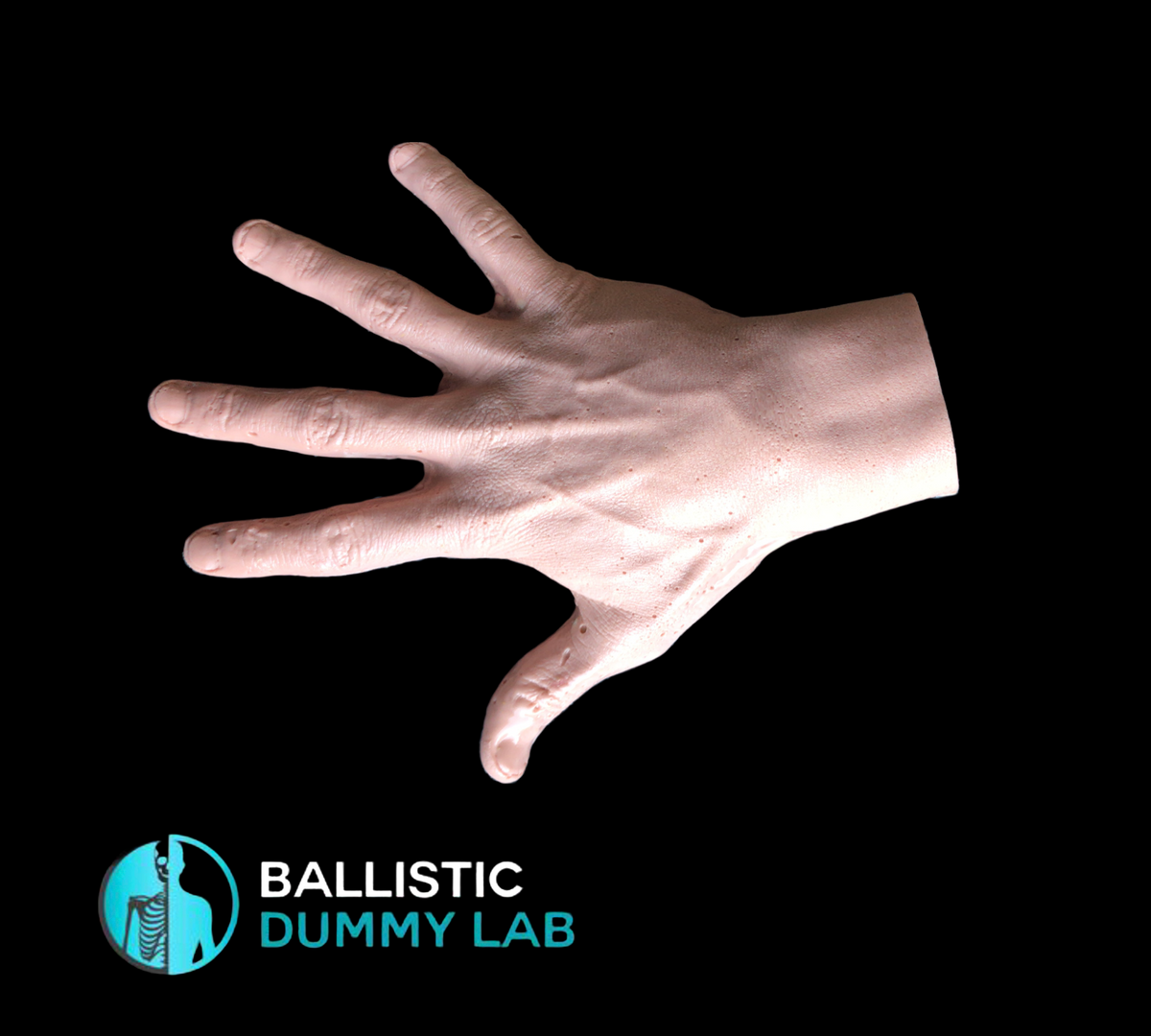 Ballistic Dummy Gel Hands – Ballistic Dummy Lab
